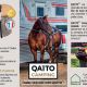 Qaïto - QAÏTO Camping